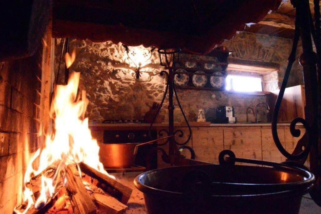 Chalet La Rite Dolomiti Masarie 外观 照片
