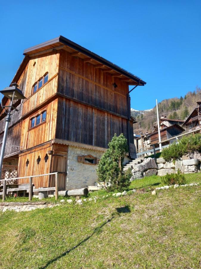 Chalet La Rite Dolomiti Masarie 外观 照片
